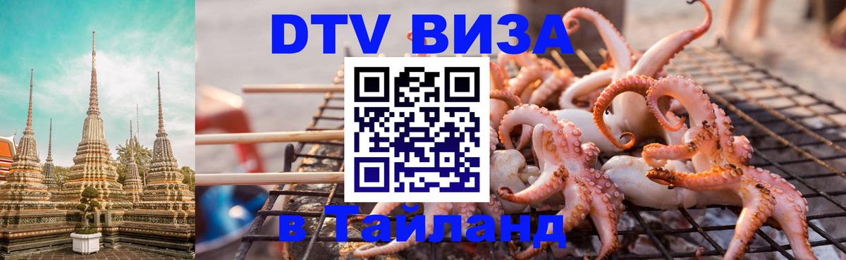 Оформление DTV визы под ключ: стоимость и тарифы, только загранпаспорт - 